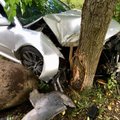 ФОТО: В Таллинне автомобиль врезался в дерево, водитель мог быть пьян