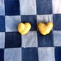 PÄEVAPILT: Südamekujulised kartulid teevad tuju heaks