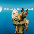 Miks ometi ei võiks Eesti koroonat nuusutavaid koeri kasutada?