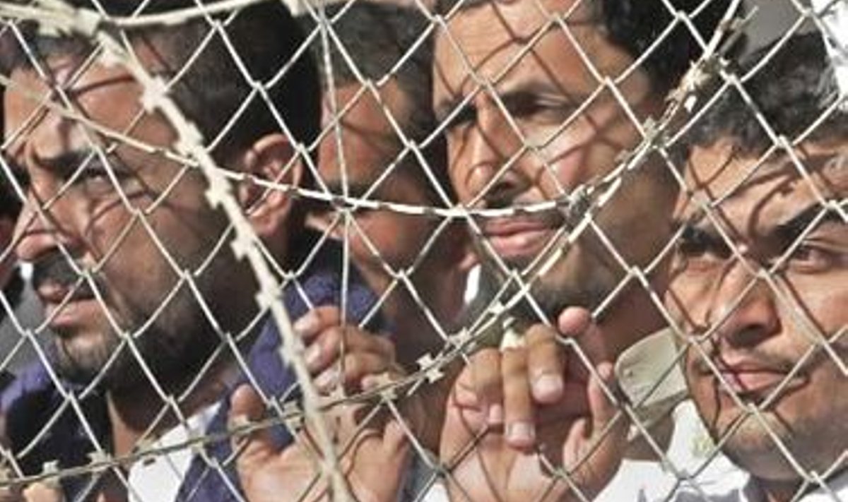 Iraagi vangid