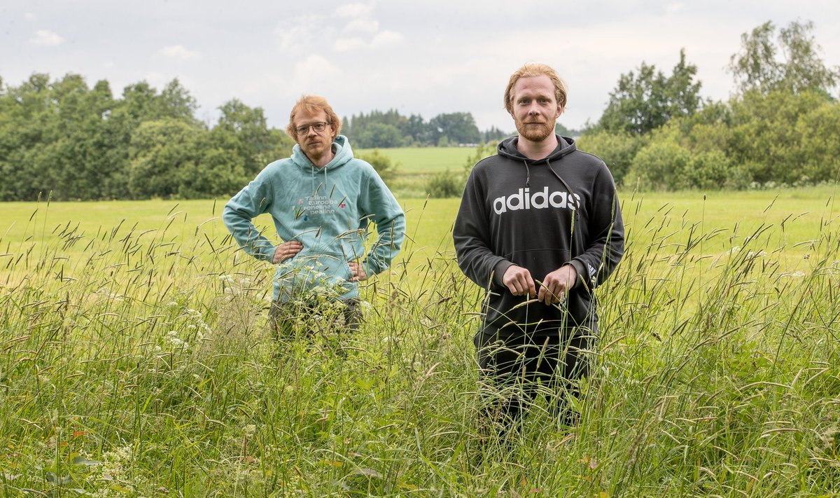 LAHKUS VANEMATEKODUST: Kaarel räägib, et läks ülikooli täpselt siis, kui Päärul oli raske teismeiga. Alles hiljem avastas, et vend on täiskasvanuks sirgunud.