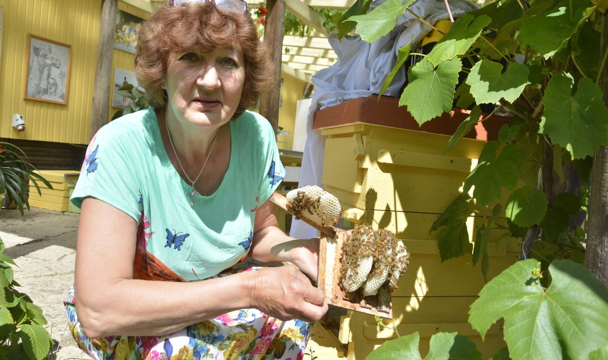 Maire Valtin oma mesilas pärast mesilaste massilist hukkumist. Kahju ulatub üle 30 000 euro.