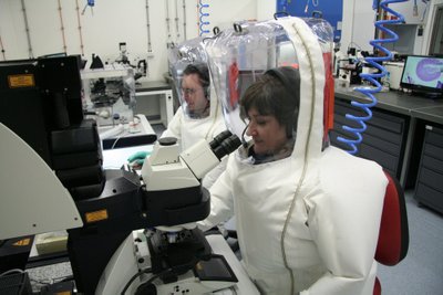 TÖÖ KÄIB: fotol Austraalia riiklikule teaduuuringute keskuse teadlased koroonaviirust uurimas.
