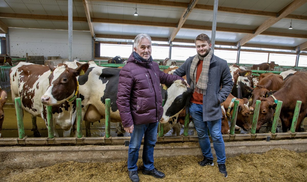 „Põllumehed pole enam ainult toidutootjad, vaid ka arvestatavad energiatootjad,“ teatab Kõljala põllumajandusliku osaühingu juhataja Tõnu Post, kes plaanib oma farmi lehmade sõnnikust hakata lähitulevikus biogaasi tootma. Pildil koos poja Lauri Postiga.      