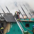 ФОТО | На Сааремаа при пожаре жилого дома погибли домашние животные