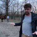 VIDEO JA FOTOD | Kaamel, Ukrainas?! Hämmastav kohtumine keset sõda imetabaste olenditega