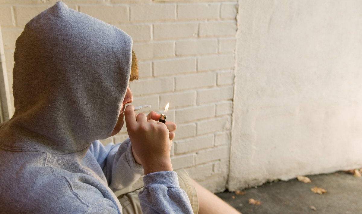 Peale kanepi suitsetamise avaldavad noore inimese intelligentsusele mõju muudki tegurid, näiteks käitumisprobleemid.