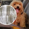 FOTOD | Pisikese eksleva koerakese küljes oli kiri. Kui appi tõtanud mees selle avas, langes ta pisarsilmil tänavale maha