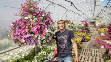 Läänemaa suurim lillekasvataja paljastab, mis on hiiglaslike amplite elujõu ja ilu saladus