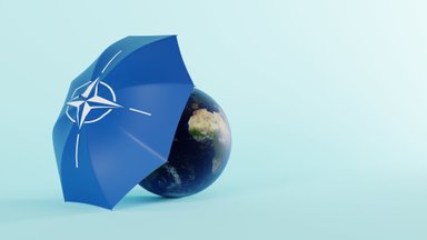 Sulev Vedler: Kas NATO vihmavari ikka kaitseb meid või lekib?
