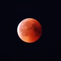 ФОТО И ВИДЕО: "Ох, красота-то какая! Лепота!" Кровавая луна над Эстонией глазами читателей Delfi