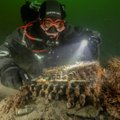 На дне Балтийского моря нашли уникальное устройство времен Второй мировой