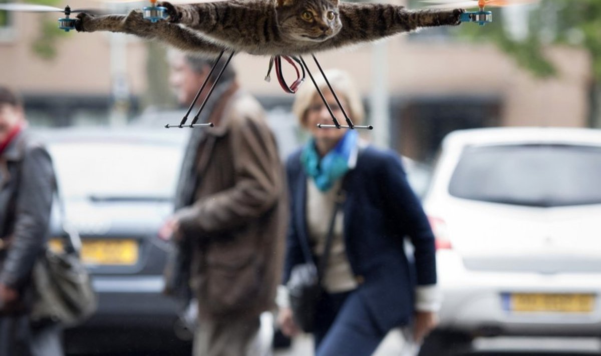 Taanlane Bart Jansen demonstreeris Amsterdami kunstifestivalil auto alla jäänud kassist valmistatud raadio teel juhitavat helikopterit Orvillecopter, Reuters