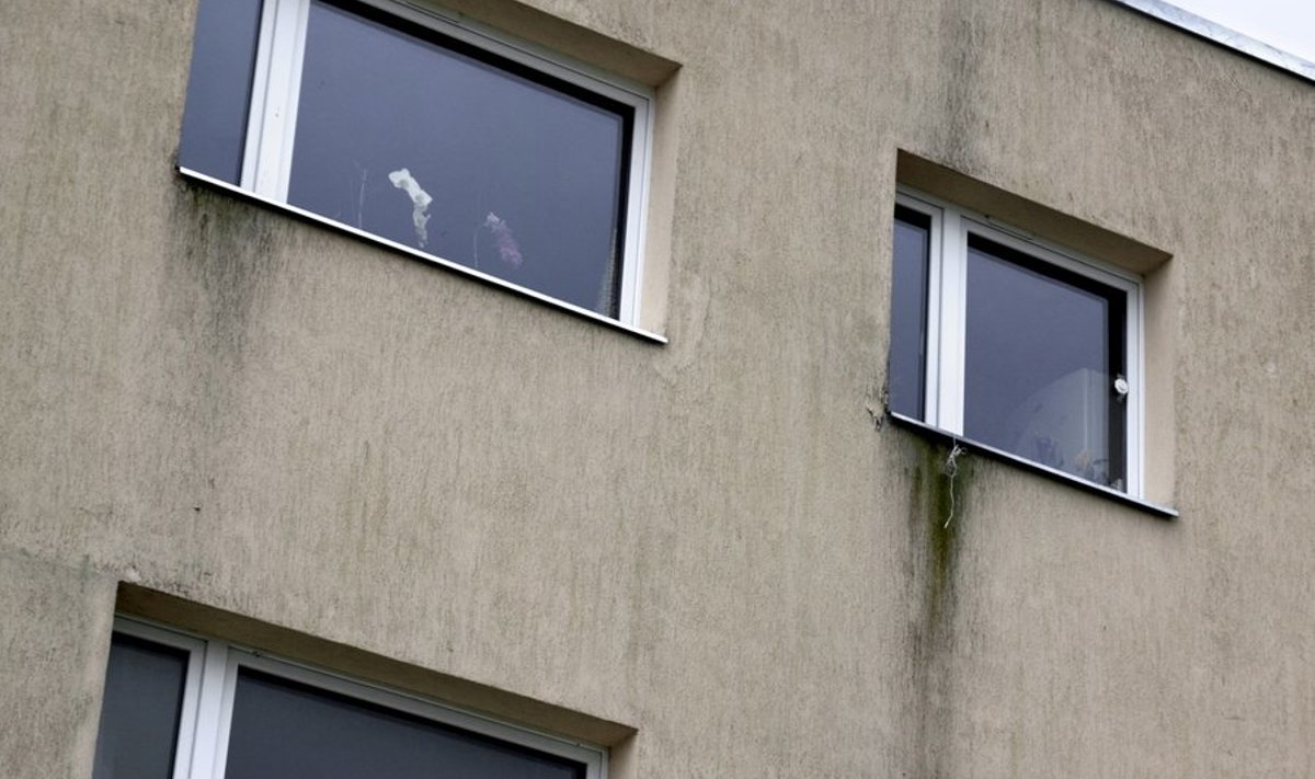 Tsinkplekist aknalauad ja parapetiplekk on määrinud kogu fassaadi. Foto: AS Toode