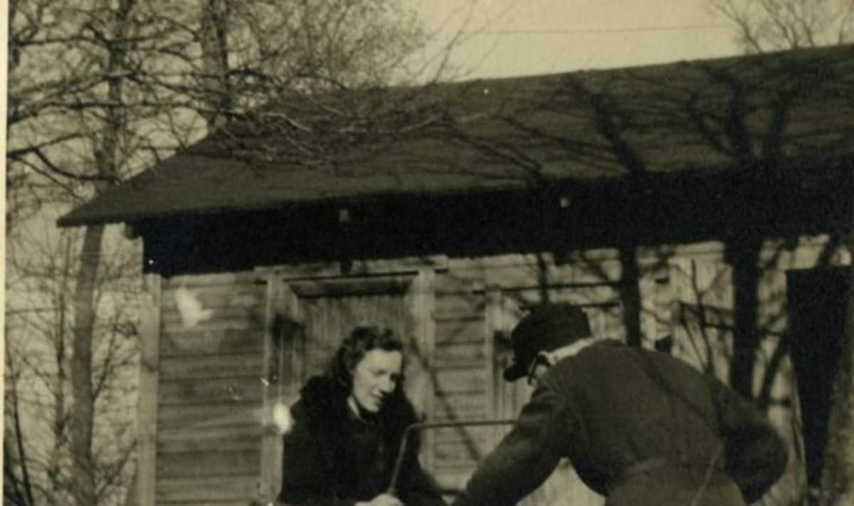 Herbert Muischnek abikaasaga Valingul Kiisa talus puid saagimas.
