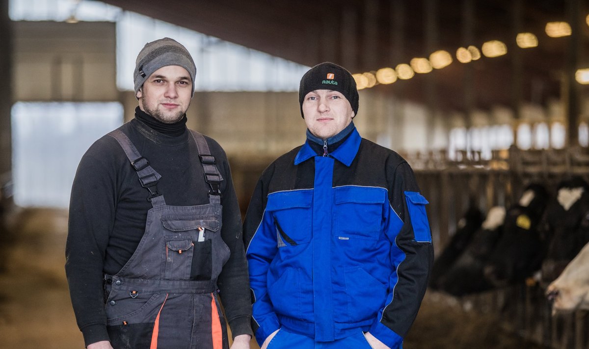 Юрий Гальченко (слева) и Сергей Мазур в Эстонии зарабатывают примерно в 5 раз больше, чем на родине. Оба перевезли в Эстонию семью и хотят здесь остаться.