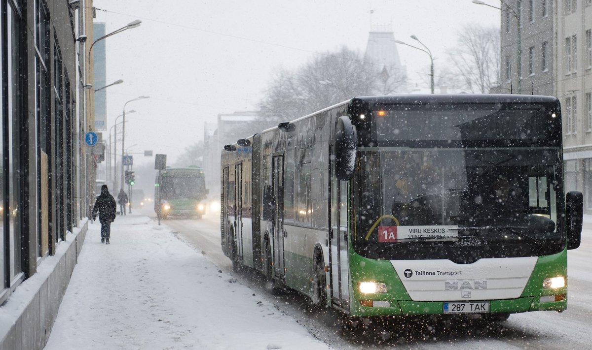 Lumesadu ja buss Tallinna keslinnas.