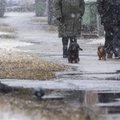 ПРОГНОЗ | Неделя началась с сильного ветра и скользких дорог, в Южной Эстонии продолжается снегопад
