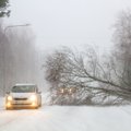 FOTOD | Harju-, Hiiu-, Saare-, Pärnu- ja Läänemaad tabab täna torm. Päästeamet palub elanikel valmistuda