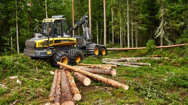 Järgmine suurkoondaja. RMK koondab 81 töötajat