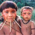 Jahtides illegaalseid kullaotsijaid avastati Amazonase vihmametsas maailmast eraldatud hõim