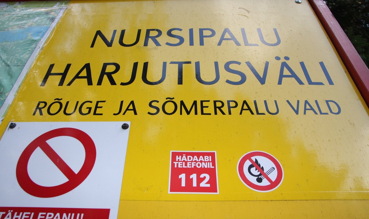 Nursipalu harjutusväli.