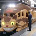 Правда ли, что в метро Токио запустили поезд в виде Котобуса из аниме „Мой сосед Тоторо“?