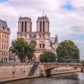 Как реставрируют Нотр-Дам после пожара. Собор Парижской Богоматери хотят открыть в 2024 году