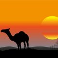 Päikeseenergia teeb Eesti elektrihinnast kaameli