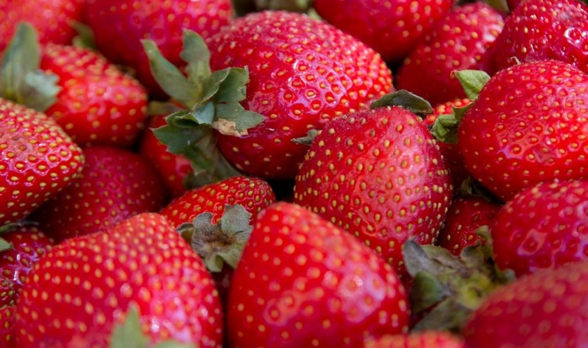 Kas kuu on samapunane kui maasikad Nõmme turul, selgub juba öösel kuud vaadates