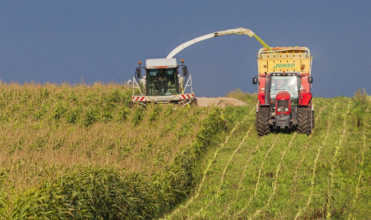 Maisikasvatus on toonud Eestisse uued võimsad masinad.