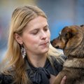 VIDEO | „Kuuuurija“ saates püüti kinni Leedu koeravabrikant