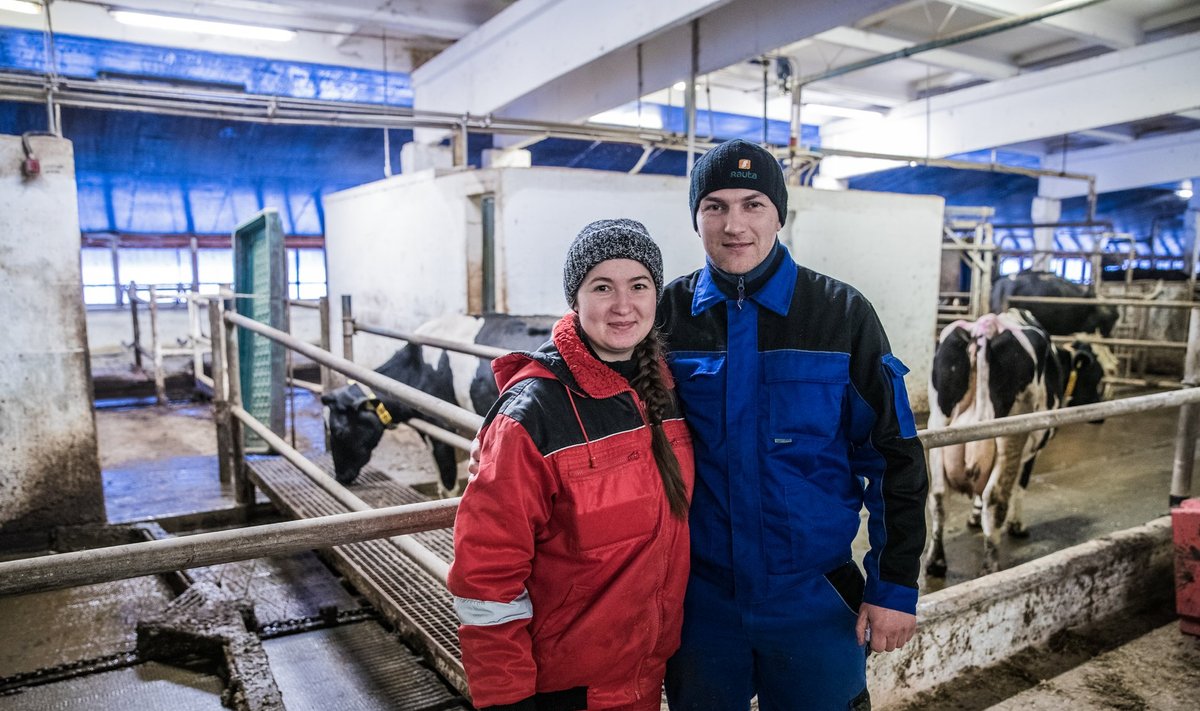 TUBLID TÖÖTAJAD: Ukraina töölised Kagu-Eestis Kaska-Luiga talus.