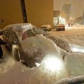 Sünoptik: kõige enam lund sadas eile juurde Harkus ja Kehras
