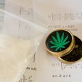 В Польше легализовали марихуану в медицинских целях