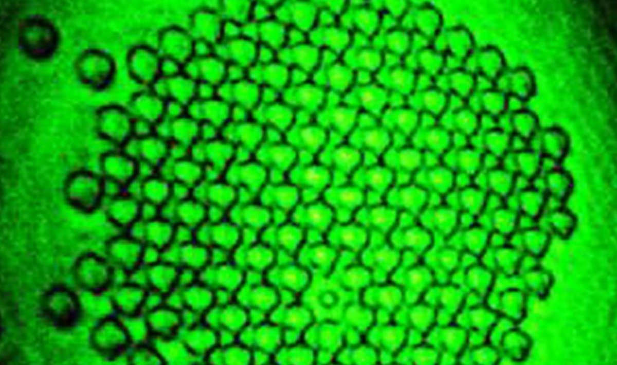 Mikroskoopiline ülipeegel (Foto: T. M. Grzegorczyk/J. Rohner/J.-M. Fournier/Phys. Rev. Letters)