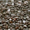 Chia seemned - võimas supertoit, mis kosutab nii keha kui ka vaimu