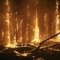 На территории Уралмашзавода в России произошел сильный пожар. Площадь возгорания — более 4,5 тысячи квадратных метров