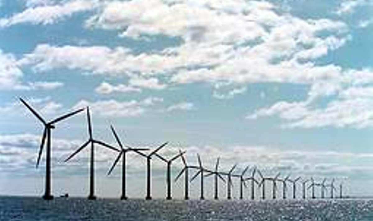EESTI ENERGEETIKA TULEVIK? 2001. aastal avati Taanis maailma suurim avamere tuulikupark. 20 kahemegavatist tuulikut asuvad Kopenhaageni sadamast umbes kolme kilomeetri kaugusel meres ja suutsid tol ajal katta kolm protsenti linna energiavajadusest. AFP