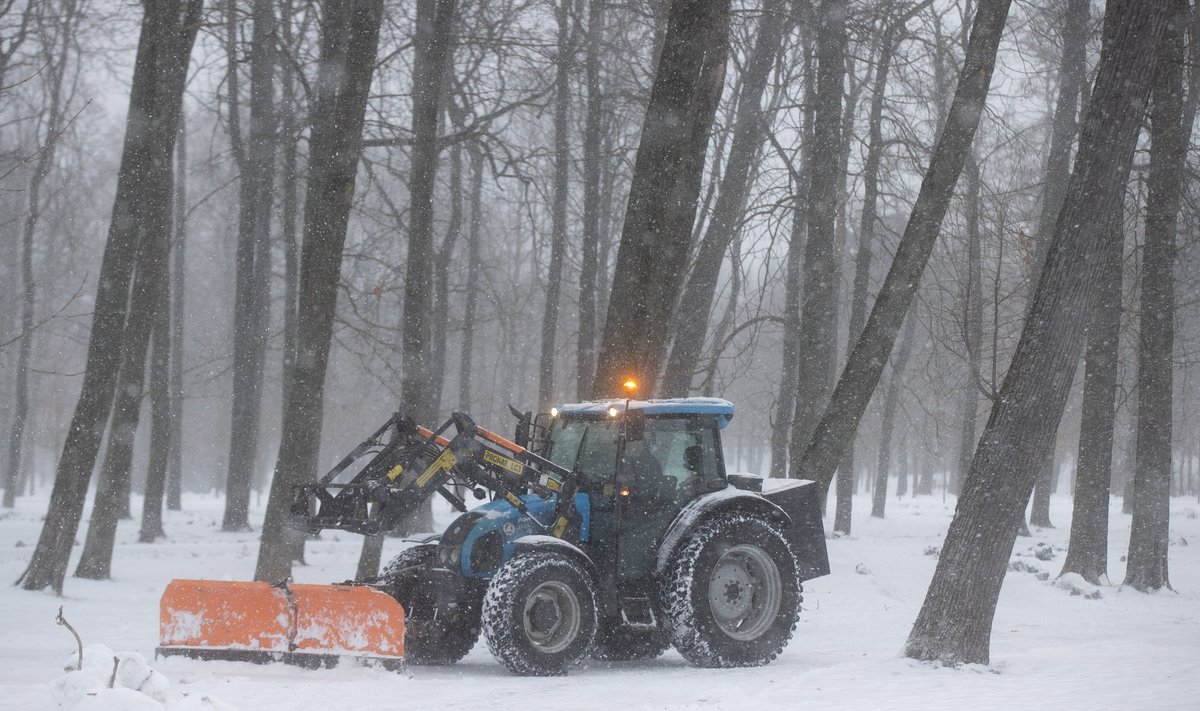 Maamaksust laekuvat raha võiks suunata näiteks talviste linnatänavate ja kõnniteede puhastamiseks. 