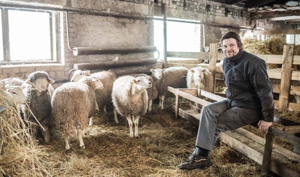 Valgamaa lambakasvataja Mats Meriste usub, et lambakasvatajad pole üldjuhul petturid.