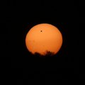ФОТО и ВИДЕО: Рано утром можно было наблюдать за прохождением Венеры по диску Солнца