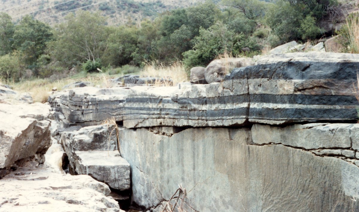 Bushveldi magmakompleks