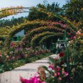 FOTOD JA VIDEOD | Aiagurmaanile — 11 avastamist väärt aeda