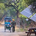 Ebatavaline partnerlus: Norra investeerib India päikeseenergiasse