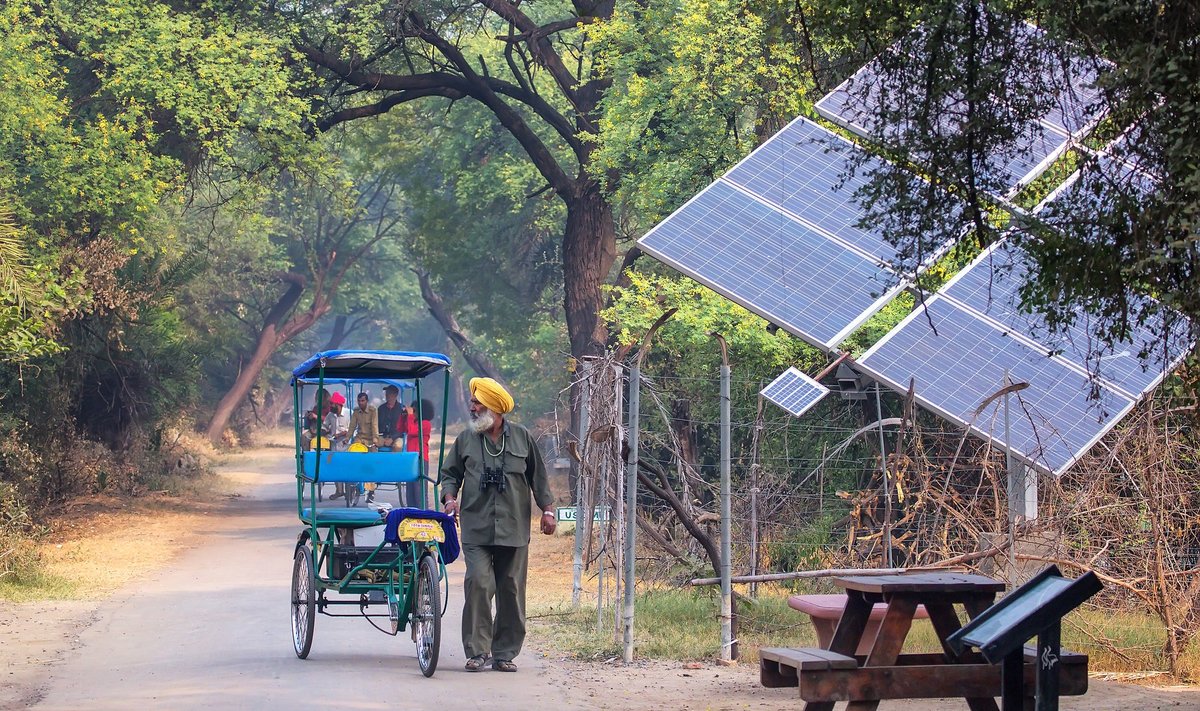 Norra on otsustanud investeerida India päikeseenergiaprojekti.
