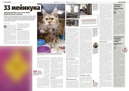 Давняя история: «МК-Эстония» в 2019 году «по горячим следам» писала о том, как спасали истощенных котов из дома на улице Сыле.