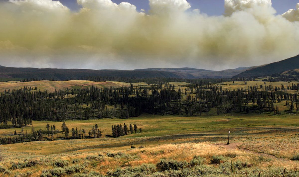 Metsapõlengu suits Yellowstone'i kohal.