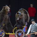 Ветеринары Эстонии поддерживают запрет на использование диких животных в цирках