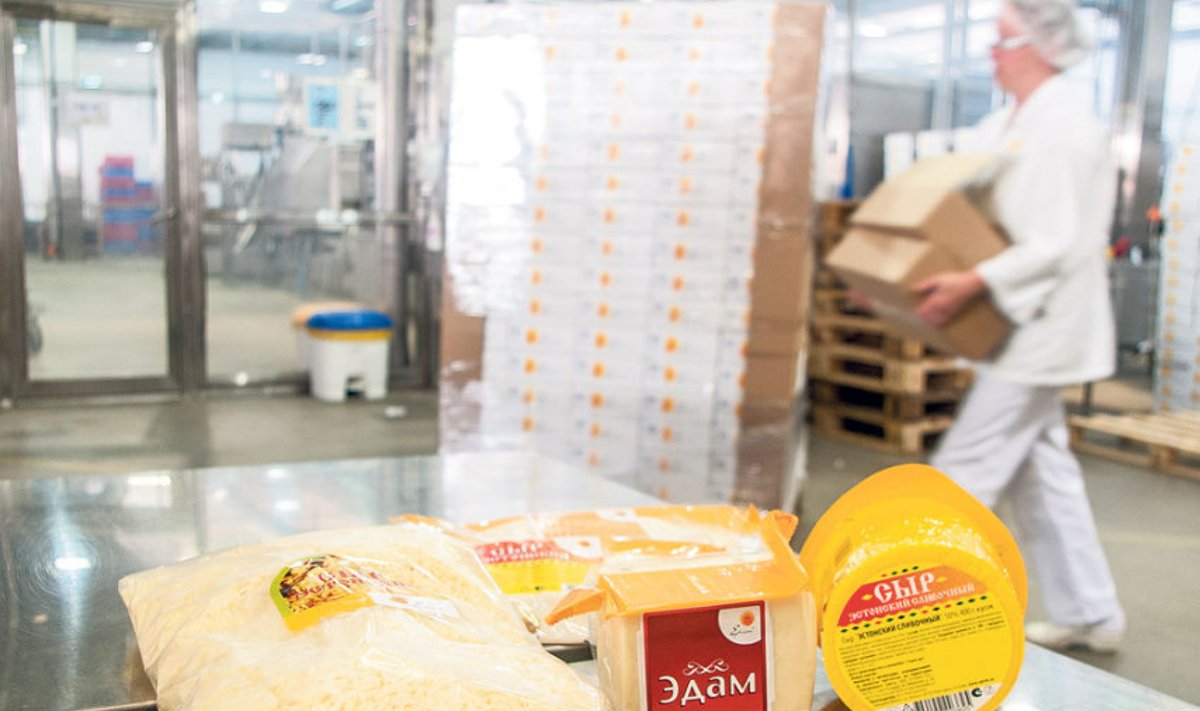 E-Piima Põltsamaa meierei  laos seisavad venekeelsete  etikettidega juustud.